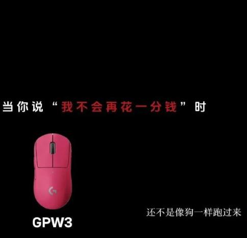 罗技：像狗一样跑过来！它代表了很多商家的真实想法，但这个事都是只做不说，它说