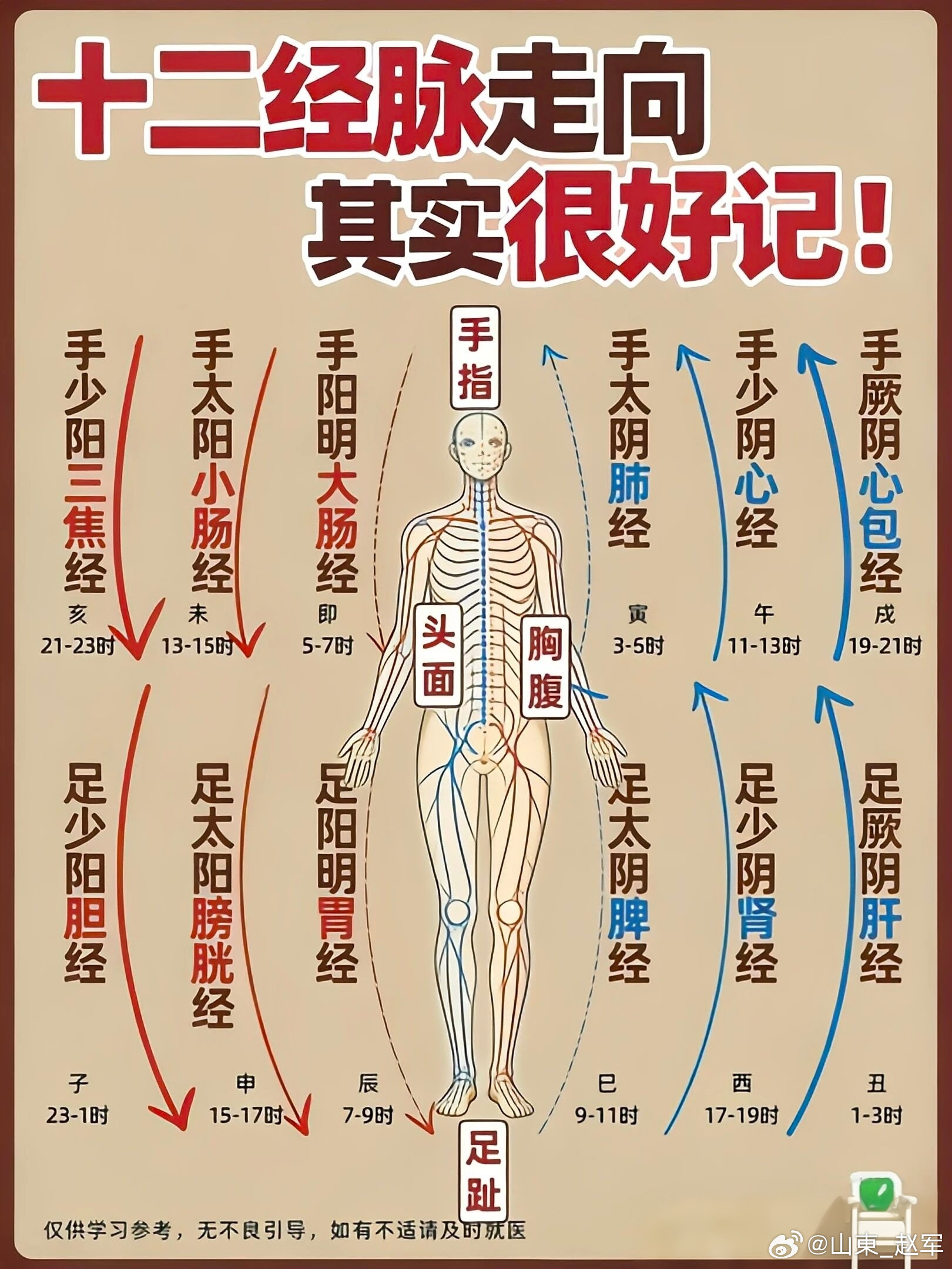 学悟中医：经历→觉知→转化一、经历——以身载道，以病为师不是看书叫学中医