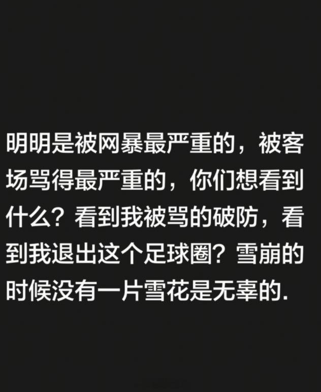 中超联赛韦世豪：都装什么好人，雪崩的时候没有一片雪花是无辜的[doge][doge][