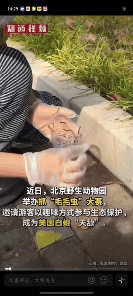 “人多力量大！”北京，野生动物园举办抓毛毛虫大赛，游客通过抓捕毛毛虫的重量换取门