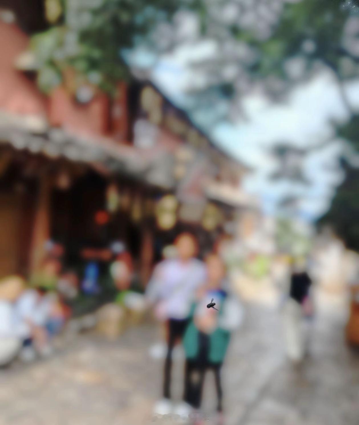 卧槽？尼康这么强？心动了