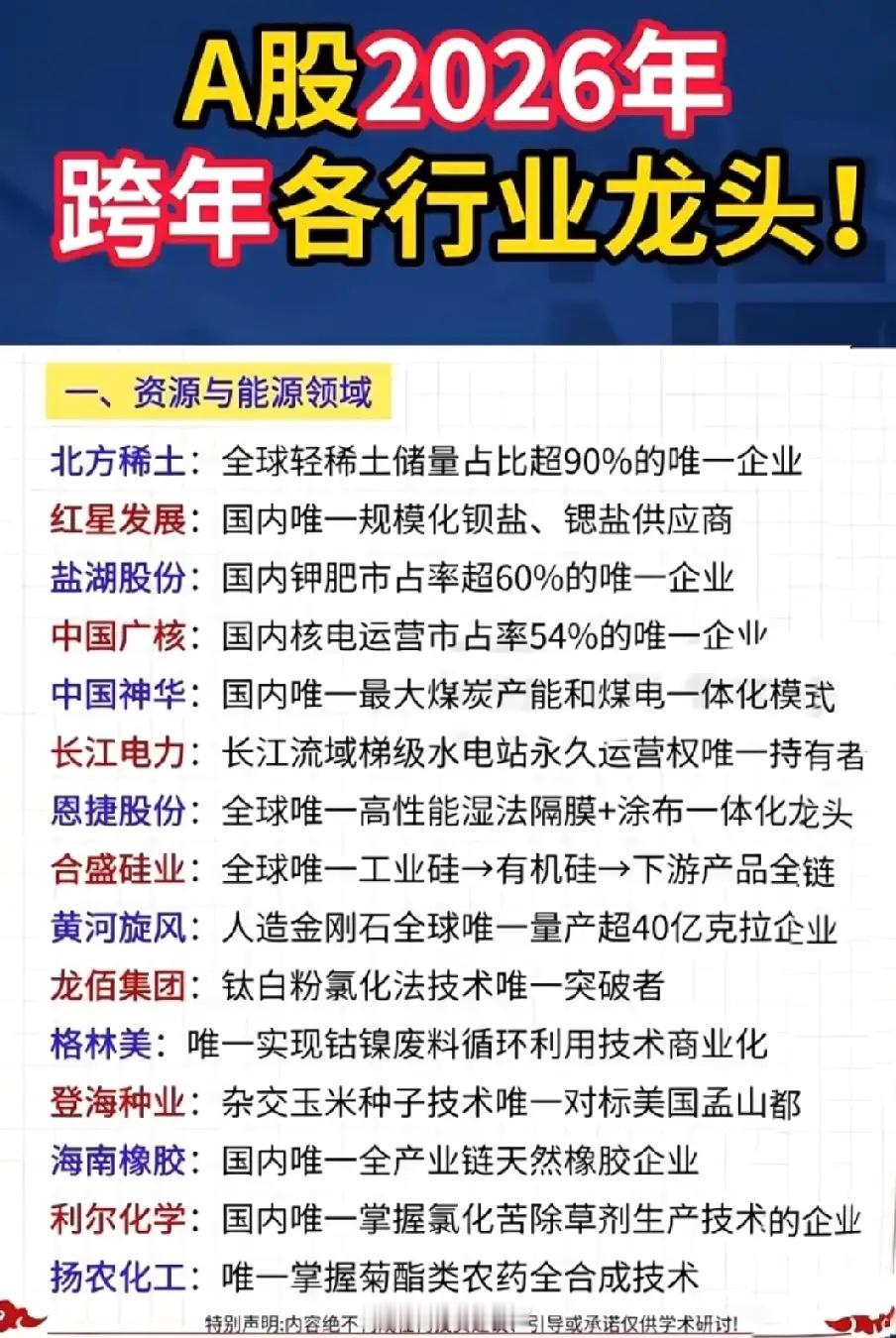 2026跨年主线掘金指南，各行业“唯一龙头”全曝光，抢占先机就看这篇！2026跨