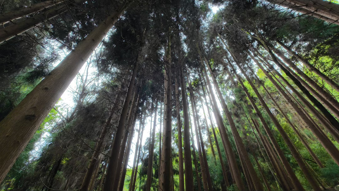 最近爱上了周末徒步