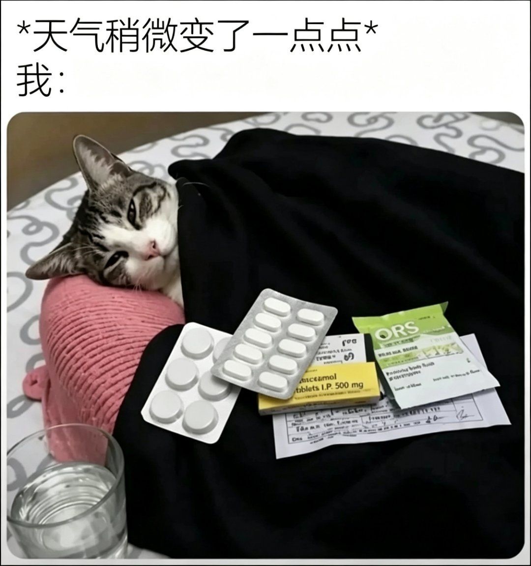脆皮来的​​​
