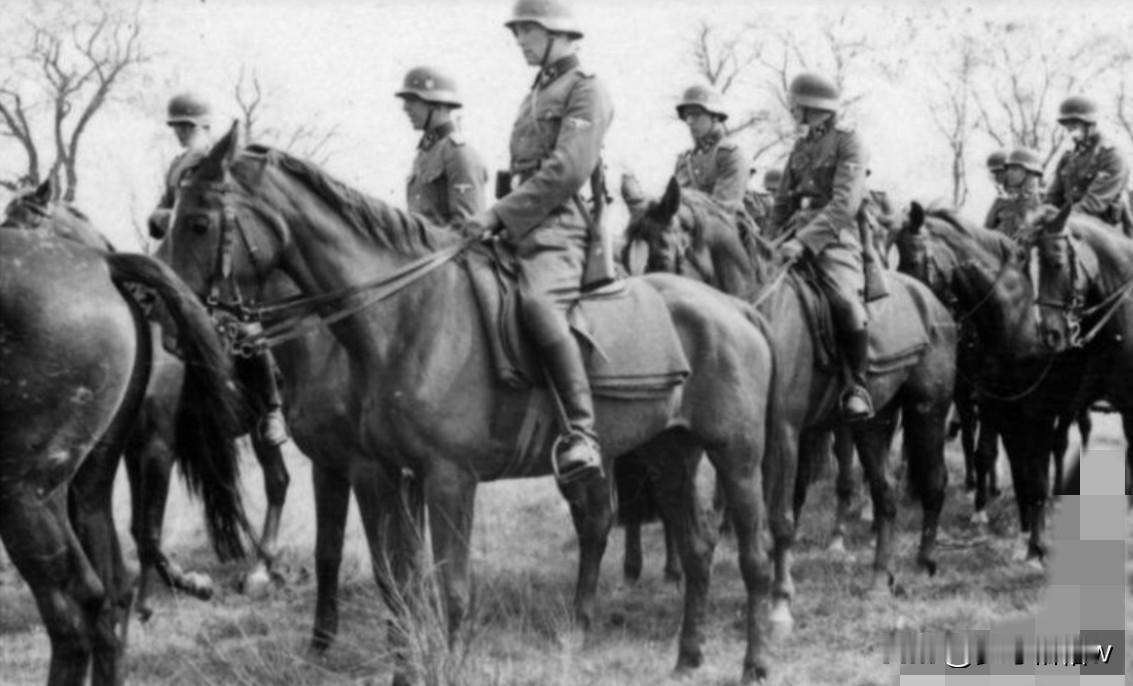 1939年战争开始的时候，德三军队（不含闪电部队）仅有1个骑兵旅，这个骑兵旅下辖