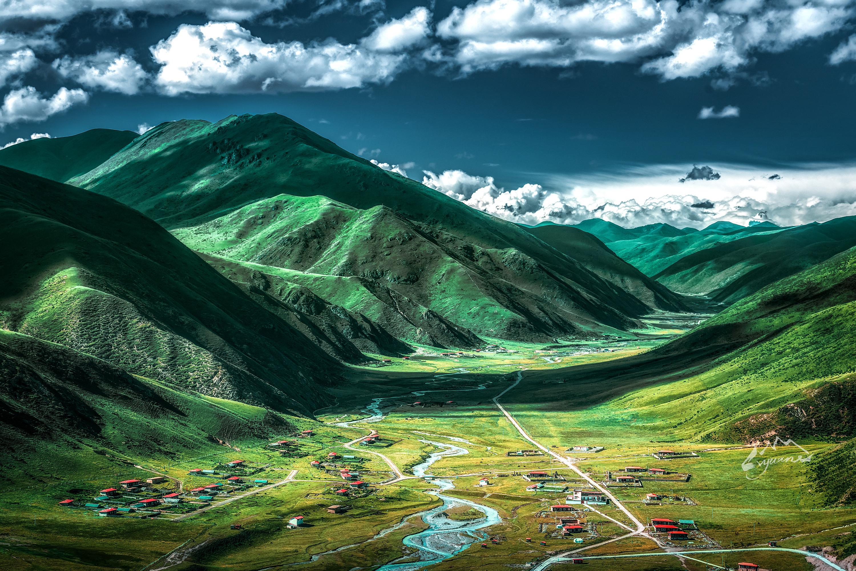 2015年我在川西拍下了这张照片，那年的风裹着草甸的清冽，撞进镜头时...