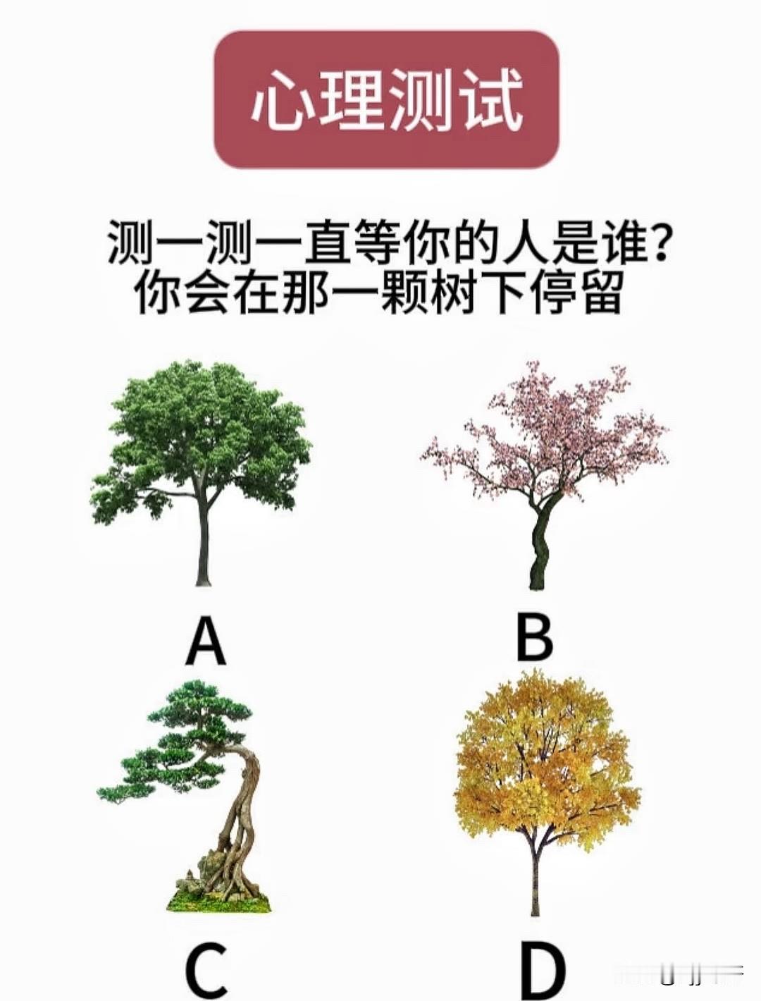 测一测一直等你的人是谁?你会在那一颗树下停留