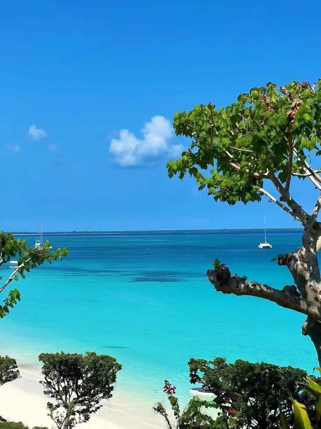 马来西亚无人小岛🌊停泊岛已经next level