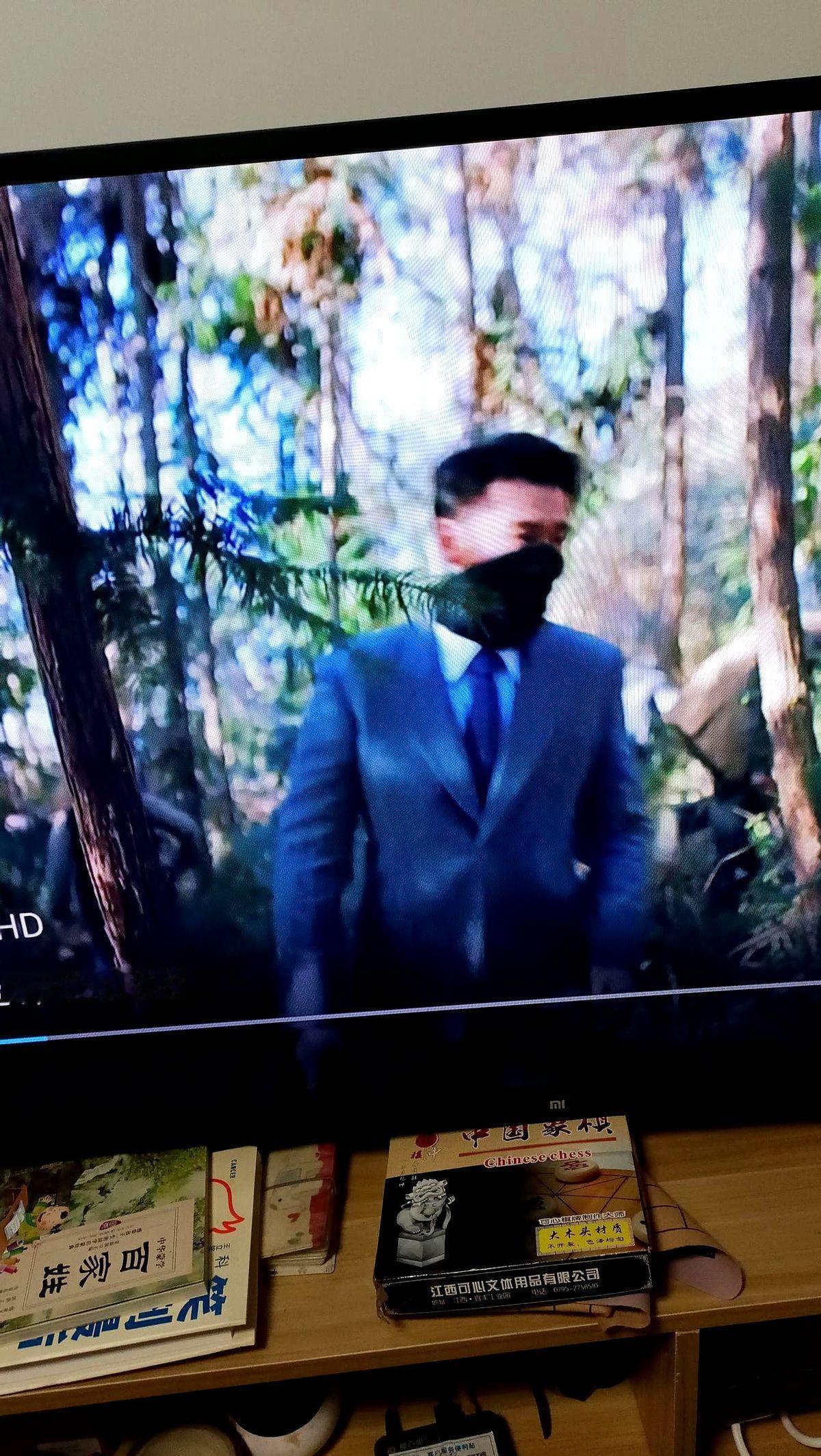 本来看到《隐锋》第四集就弃了，后来刷到一堆人吐槽漏洞多，干脆捡起来当小品看——就