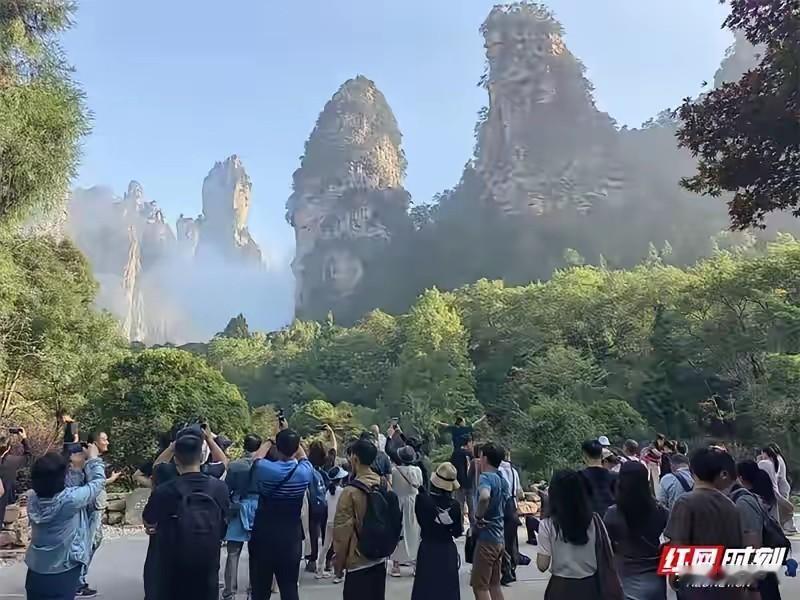 “太寒心了！”湖南张家界景区，持匈牙利学生居留卡的游客要学生优惠，窗口员工依规拒