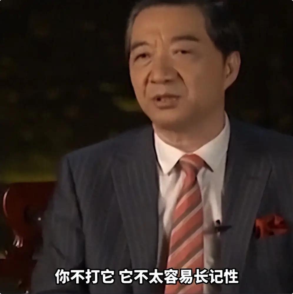 如果中日开战，24小时内能全歼日本吗？说白了，中日真开战，24小时全歼日本是做梦