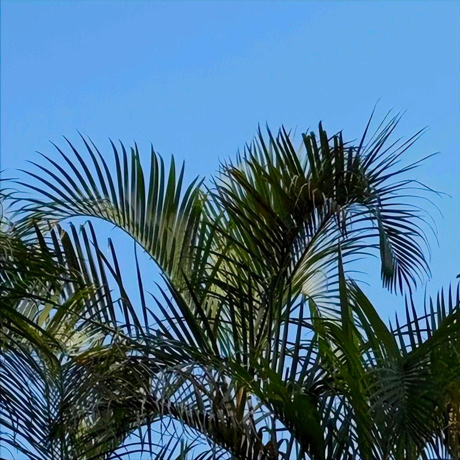 信息  事关青岛市人大的 12月18日11:00，事关青岛市人大的信息传递