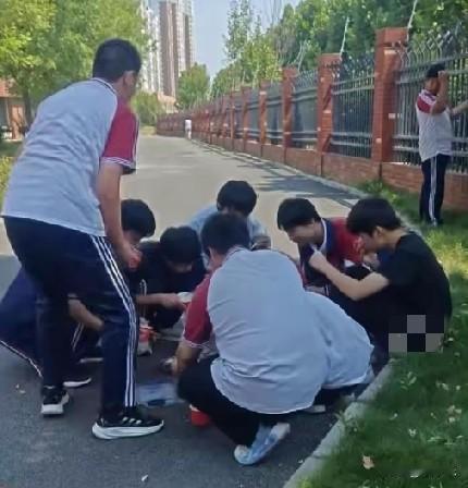 近日，河南南阳，妈妈给初三住校的儿子送饭，儿子来吃，其他孩子也跑来吃，于是这位妈