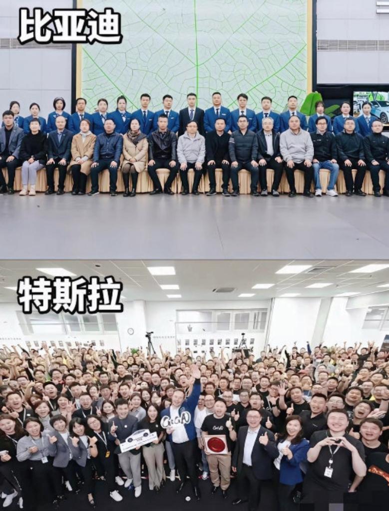 两张对比图，看懂不同企业的文化风格！比亚迪、华为规整严肃，特斯拉、苹果活力满满