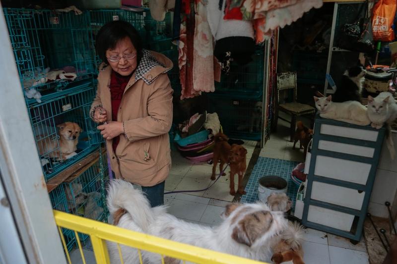 养宠物的人就是有爱心吗?养宠物跟爱心没有一毛钱的关系，相反，养宠物的往往私心最重