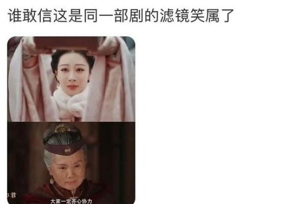 《家业》磨皮太大被吐槽！《家业》磨皮且是很大，尤其是杨紫的画面，作为一部经典作