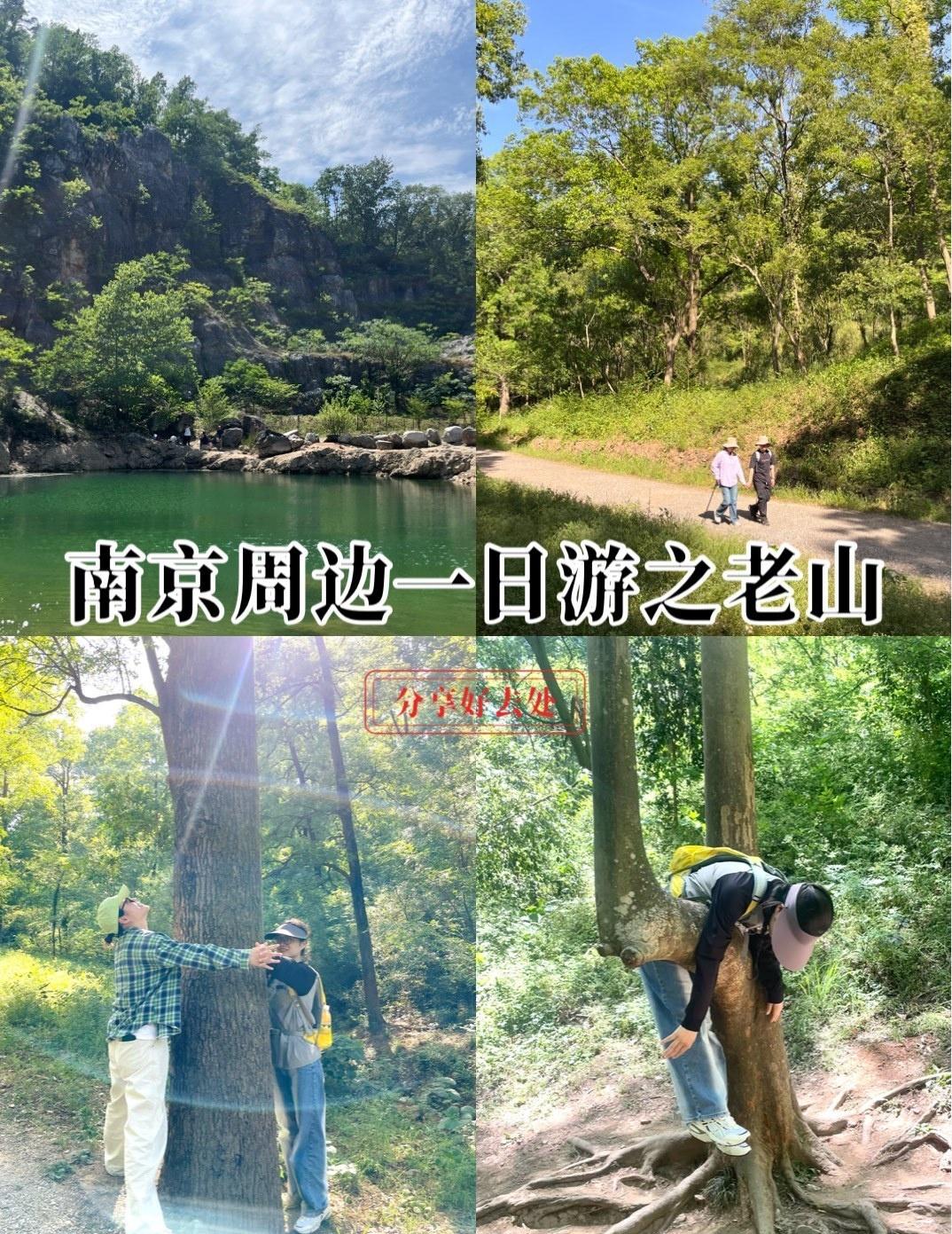 南京周边超推荐的秋日徒步路线——自驾前往,把车停到停车场里。(停车场比较小,