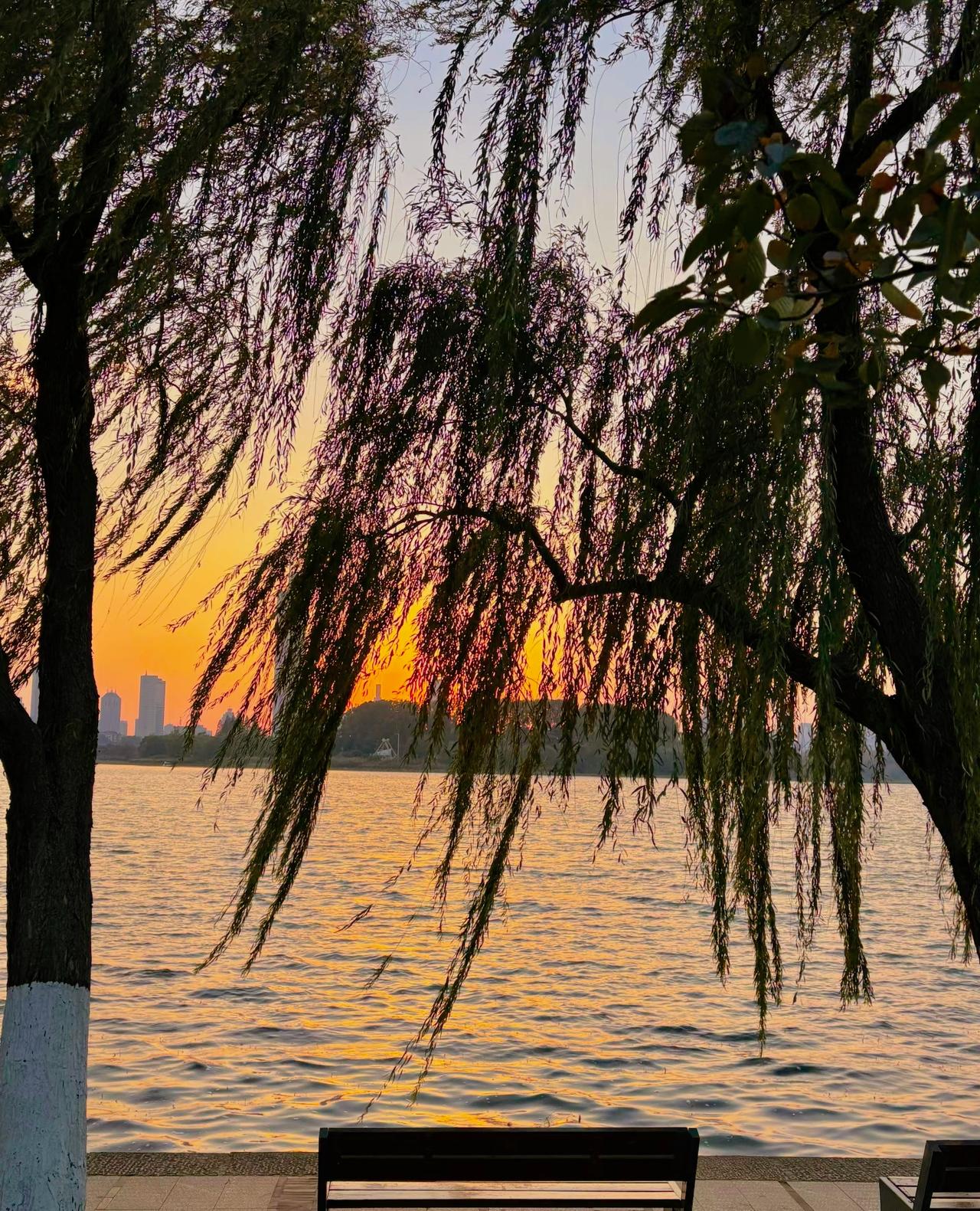 人到中年才懂：能做的，直接做，别想想不透的，往下挖，挖到根解决不了的，接受