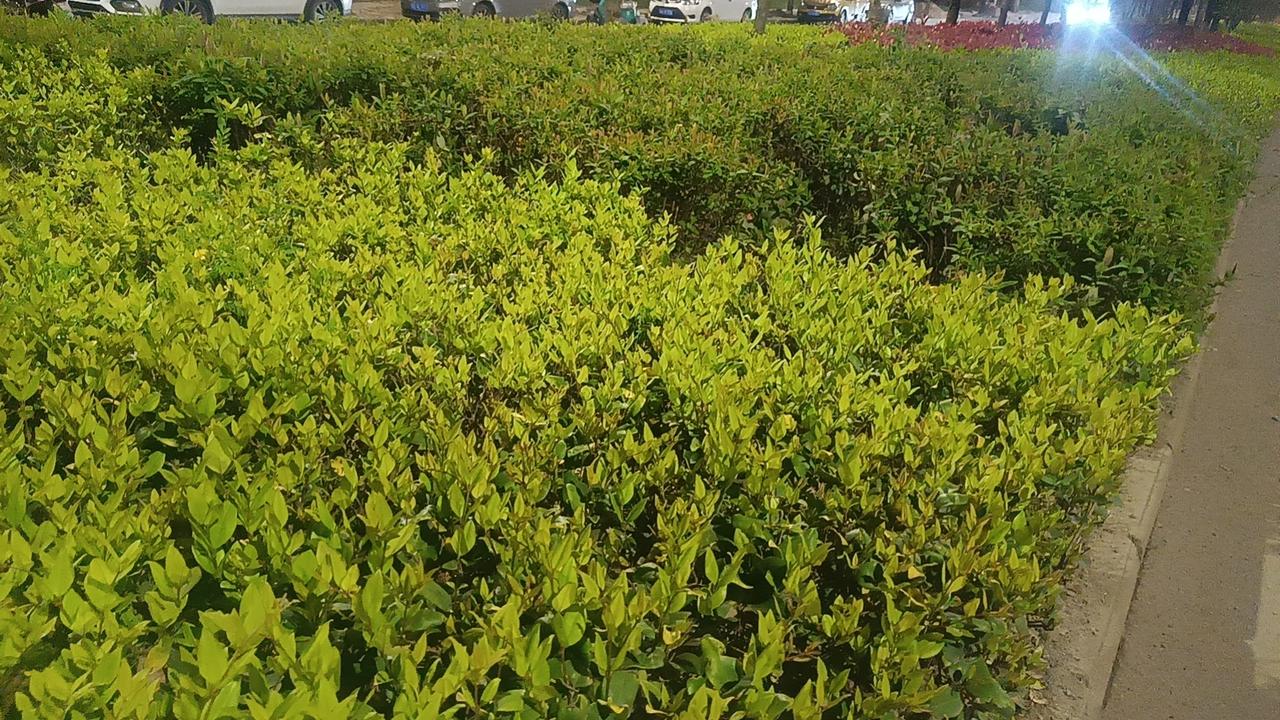 把坐骨神经痛的常见处理方法说清楚，简单实用、在家就能做：仅供参考一、立刻能