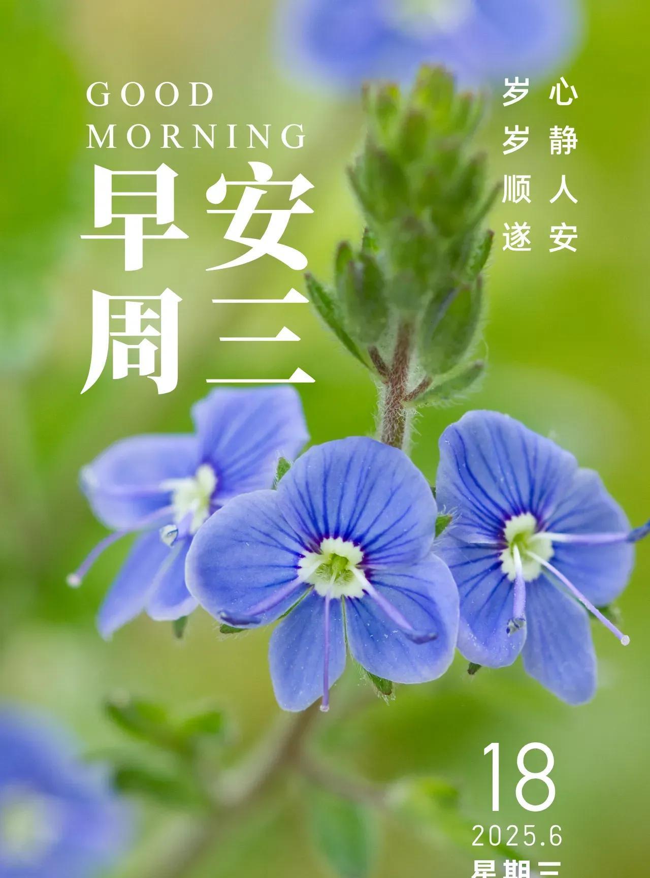 盛夏已至，烈日炎炎，时光如歌，渐渐步入仲夏。大地热闹，万物繁茂，只待秋风送爽。夏