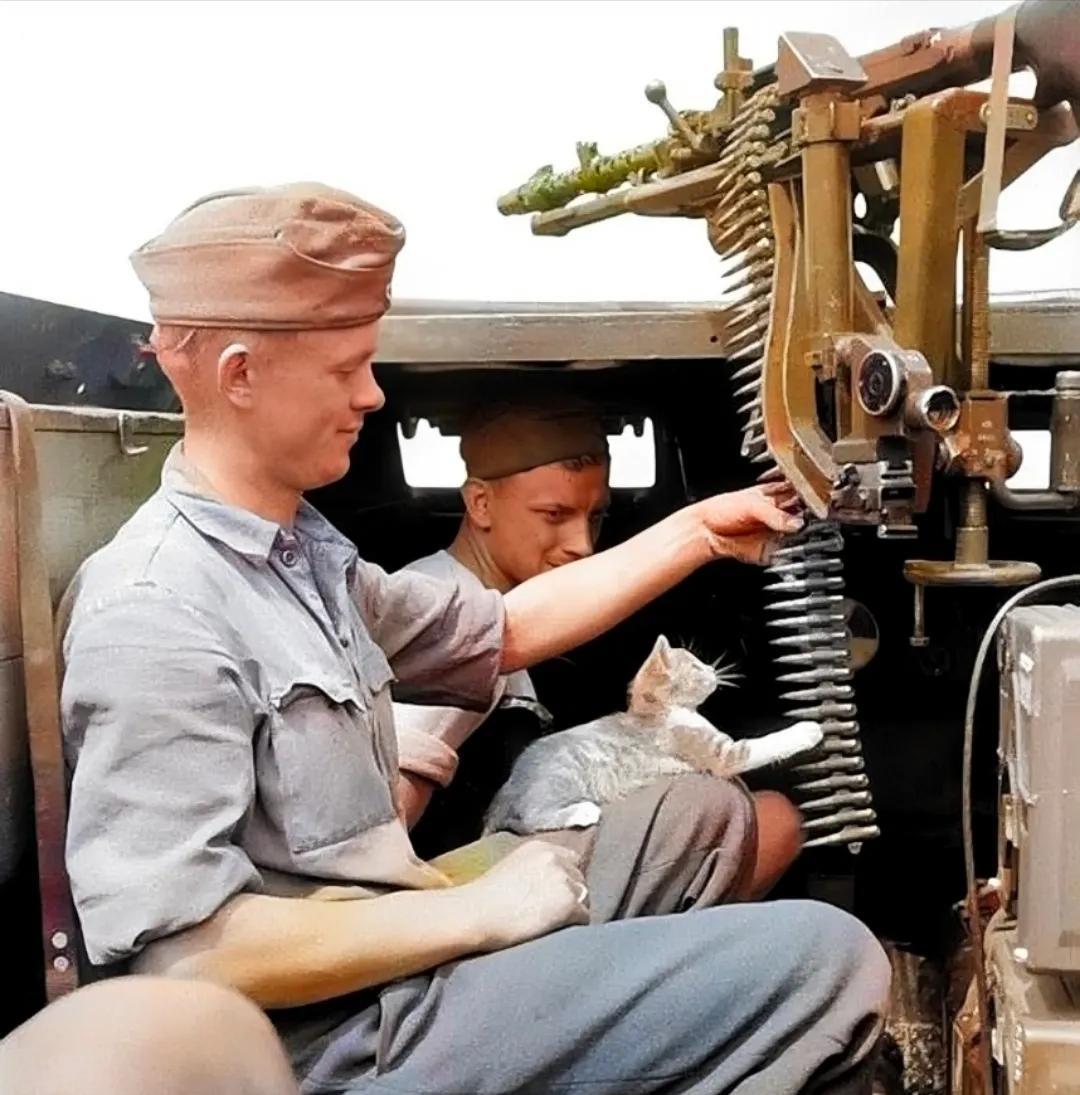 1942年，两名德军士兵在半履带战车里逗猫咪玩，看着装应该是夏天。（图一）他们