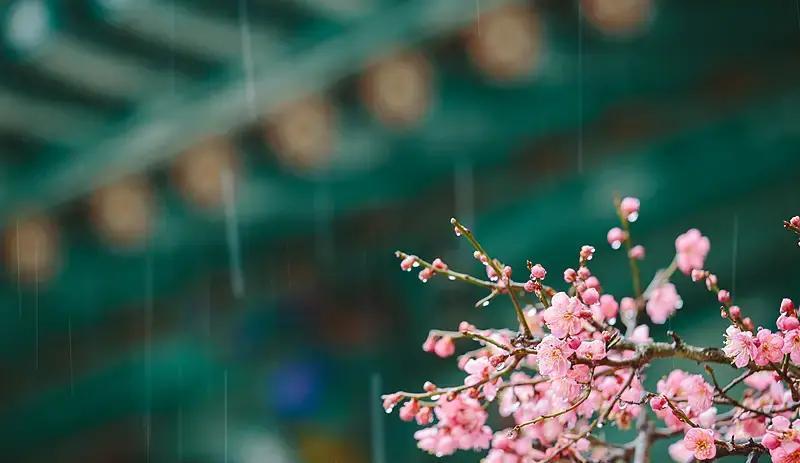 北宋熙宁九年暮春，山东密州超然台上，苏轼登高远望满城春色，却在寒食刚过酒醒时突然