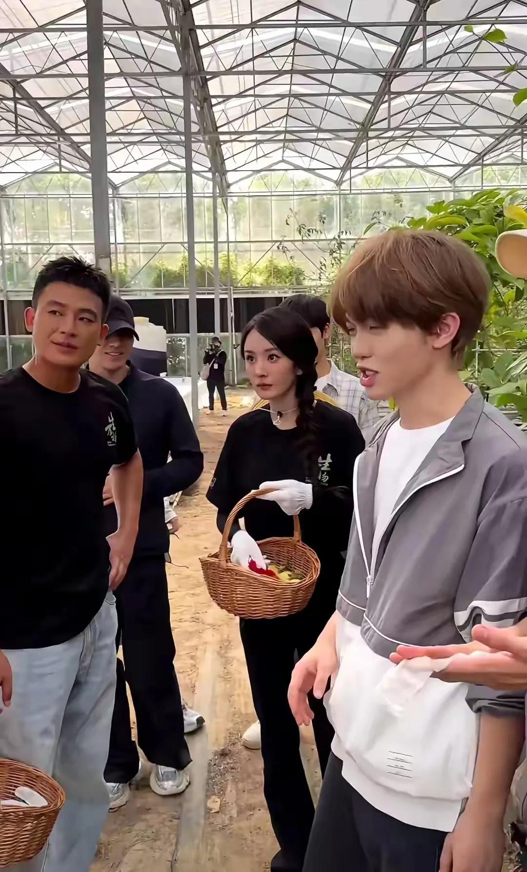 欧豪和杨幂一块儿在菜园子里露面，那画面还挺有意思——杨幂打扮得那叫一个精致漂亮，