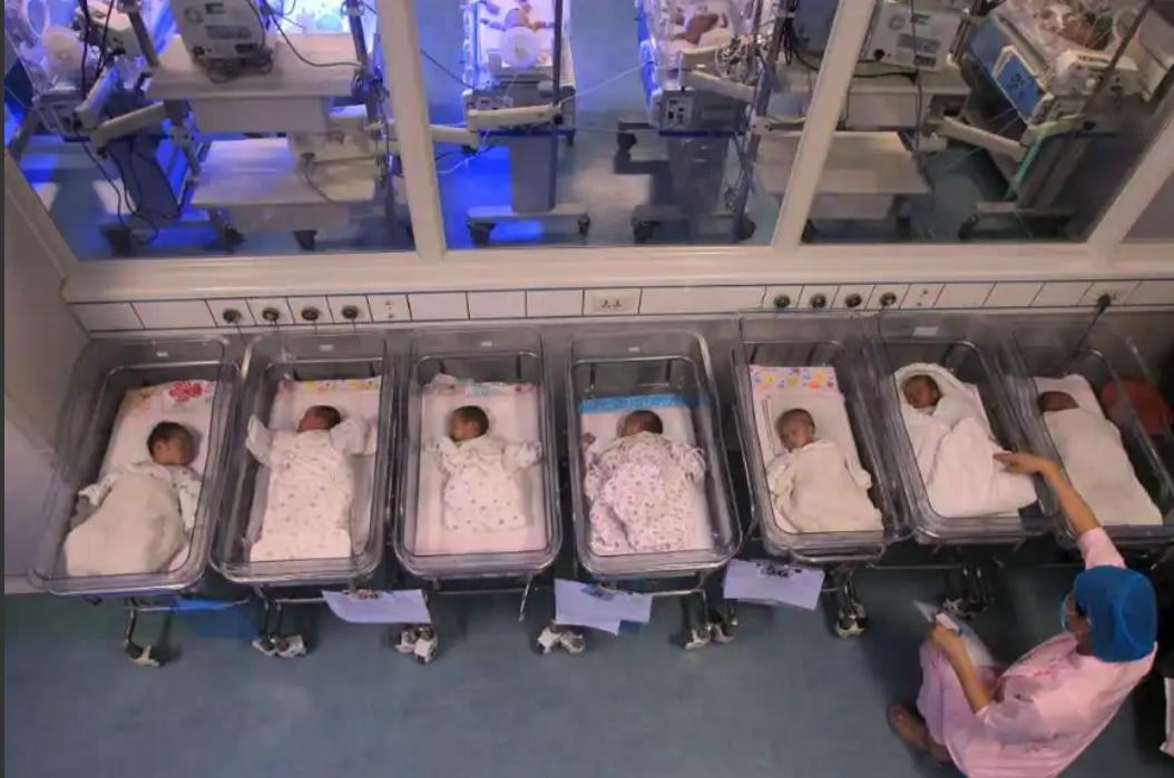 现在生育率越来越低，并不是最可怕的，毕竟每年也有700多万。更可怕的是，最喜欢生