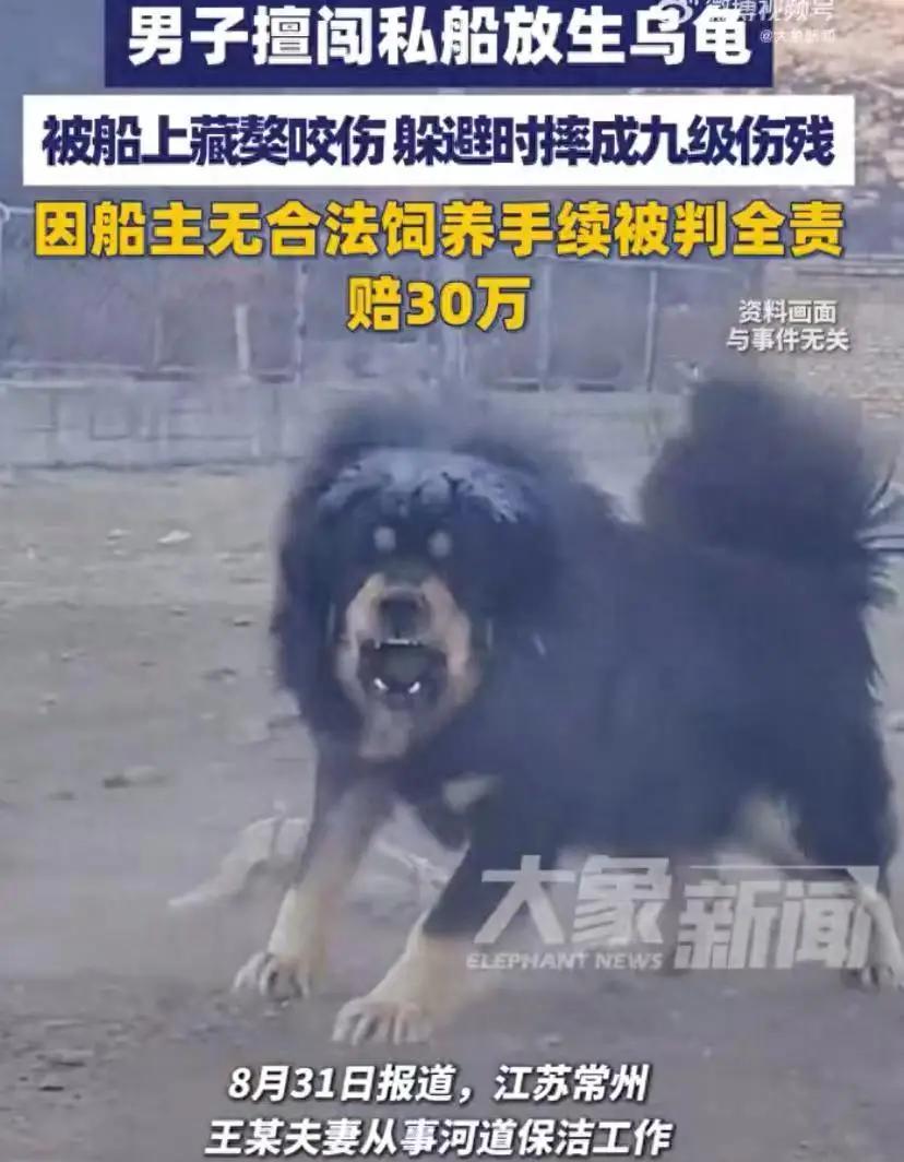 江苏常州市，张某擅自登上王某的船只，被看家的藏獒咬伤，又摔成重伤，治疗花费医药费