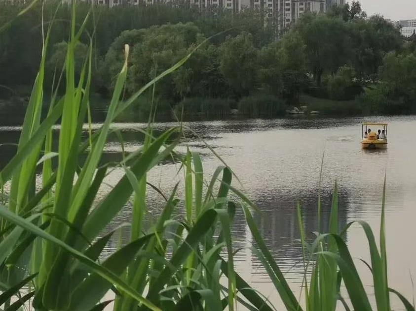 人一旦到了60岁后，要想有一个幸福的晚年，一定要记住这几个“不要”。一，不要逞