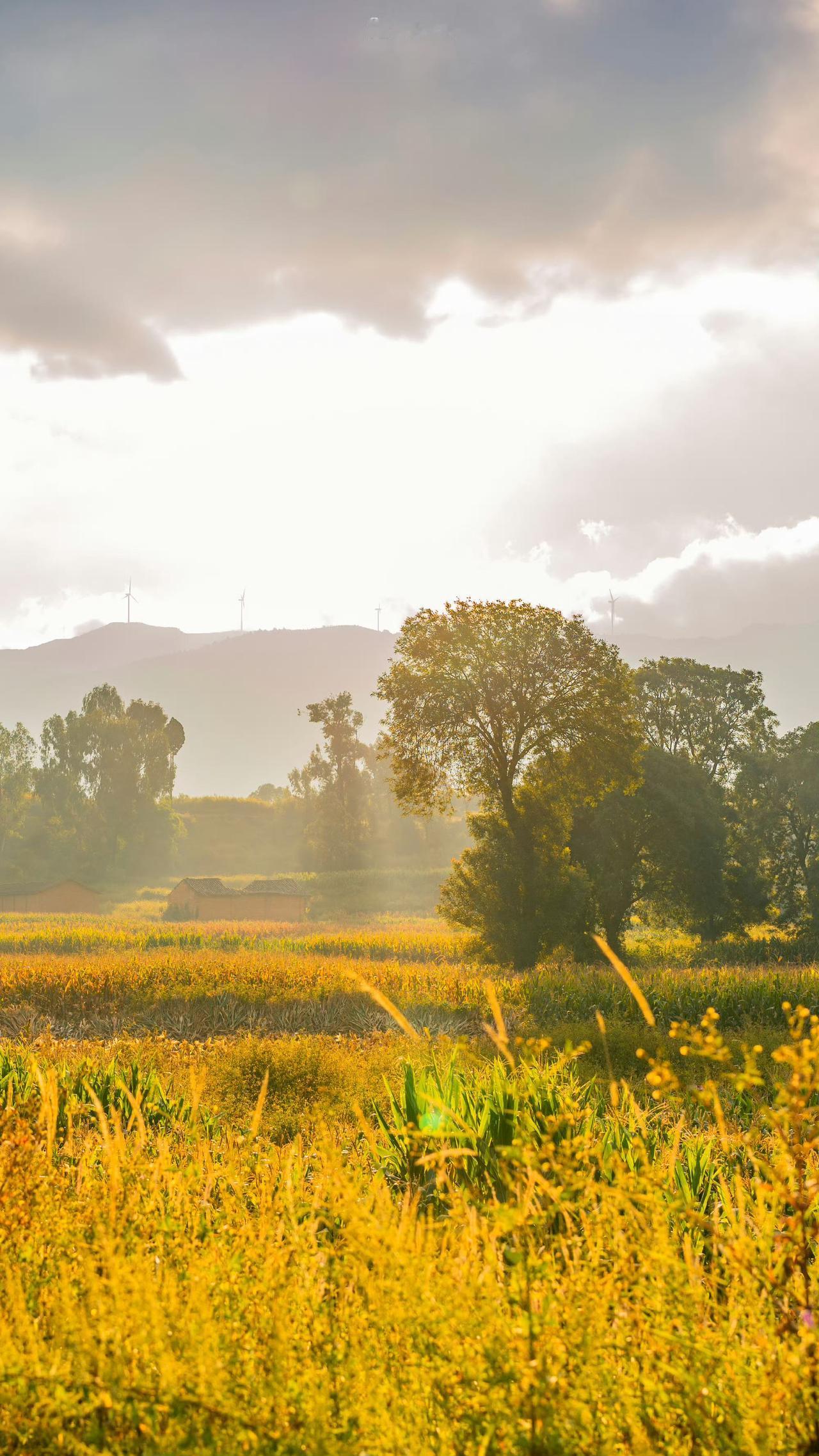 碰到一个金陵汇文的学生家长，跟我说孩子初三了，时间特别的紧，也想补课，但是学校的