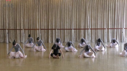 家庭芭蕾形体训练入门(6)[高清]_土豆视频