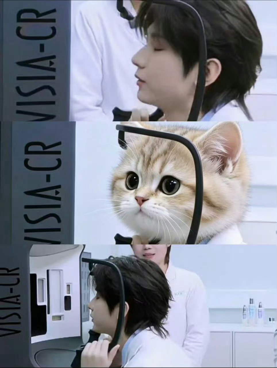 成毅本体猫咪成毅直播