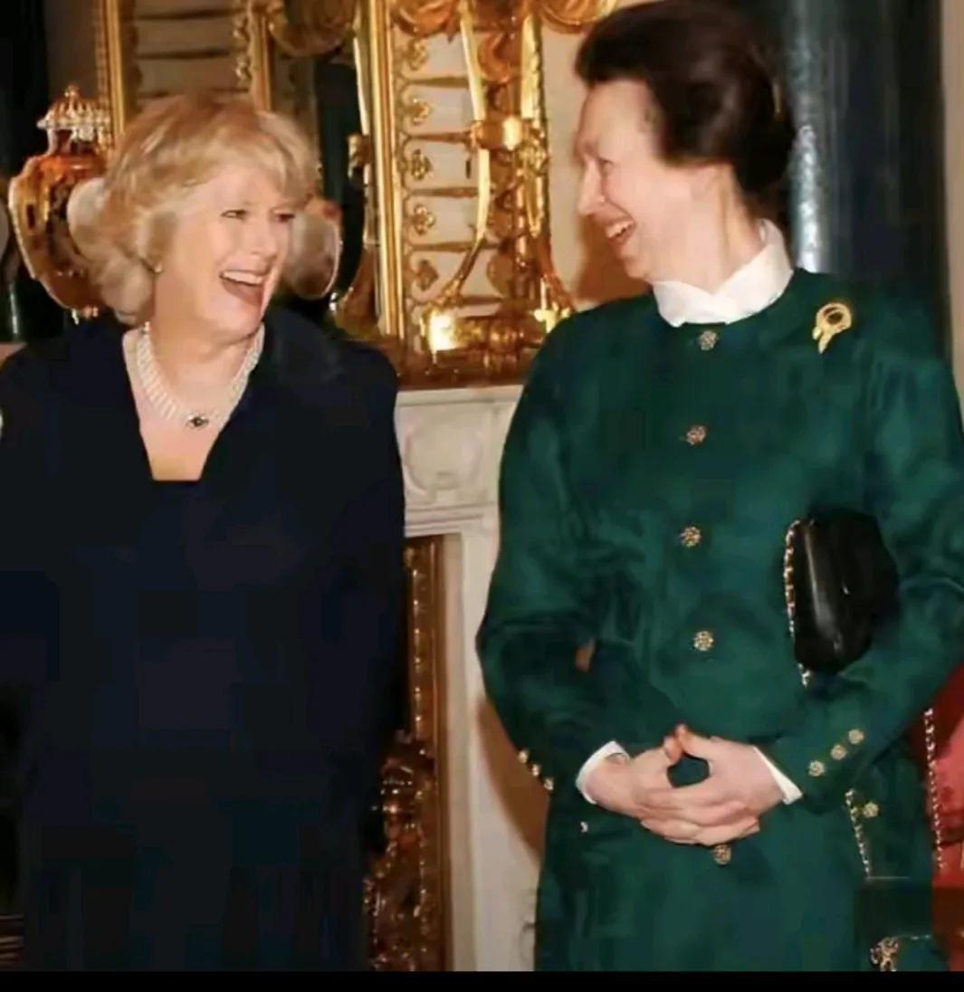 安妮公主人缘真好：英王室中，卡米拉和梅根，安妮都能和她们相处的来。安妮公主和