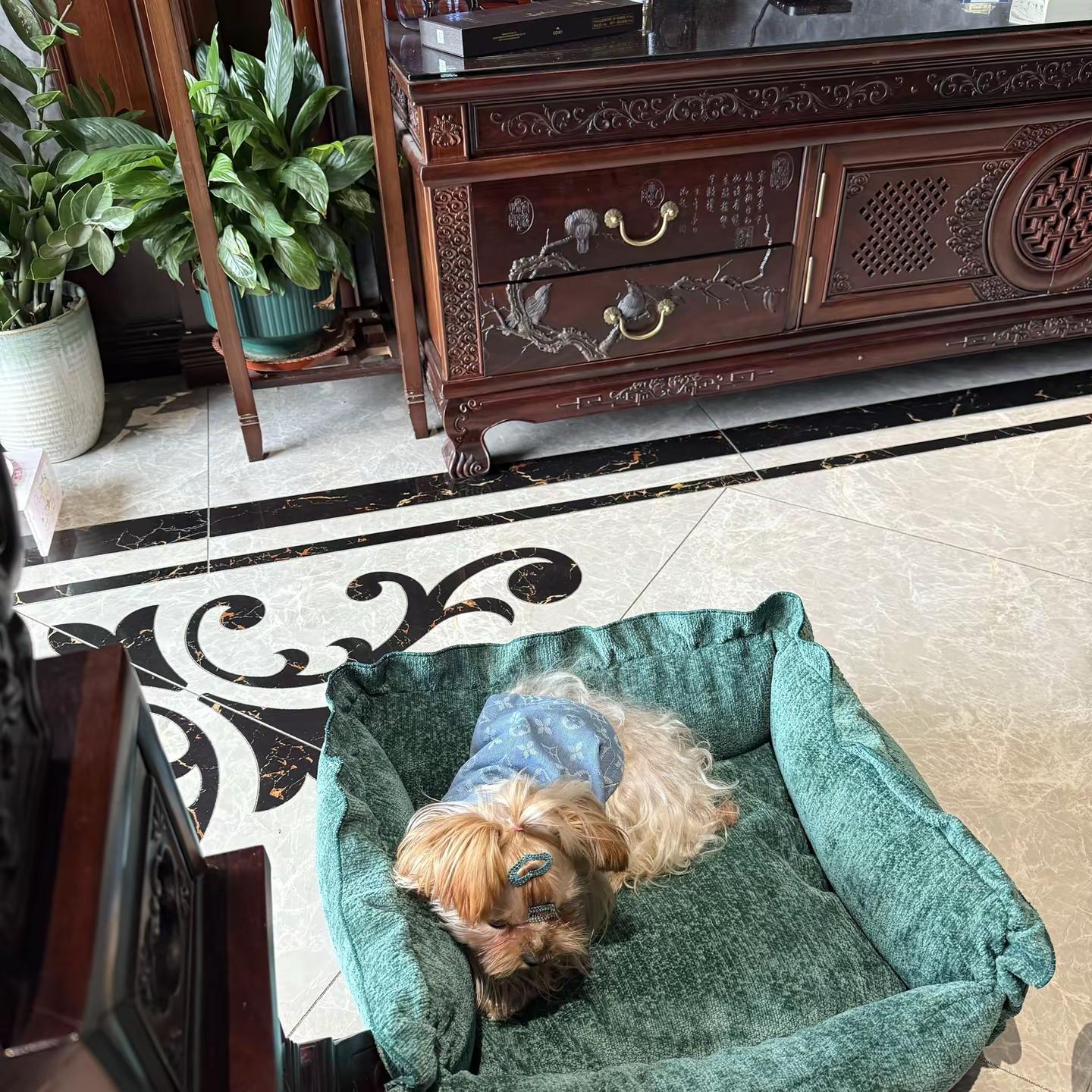 弱者慕强，强者慕真