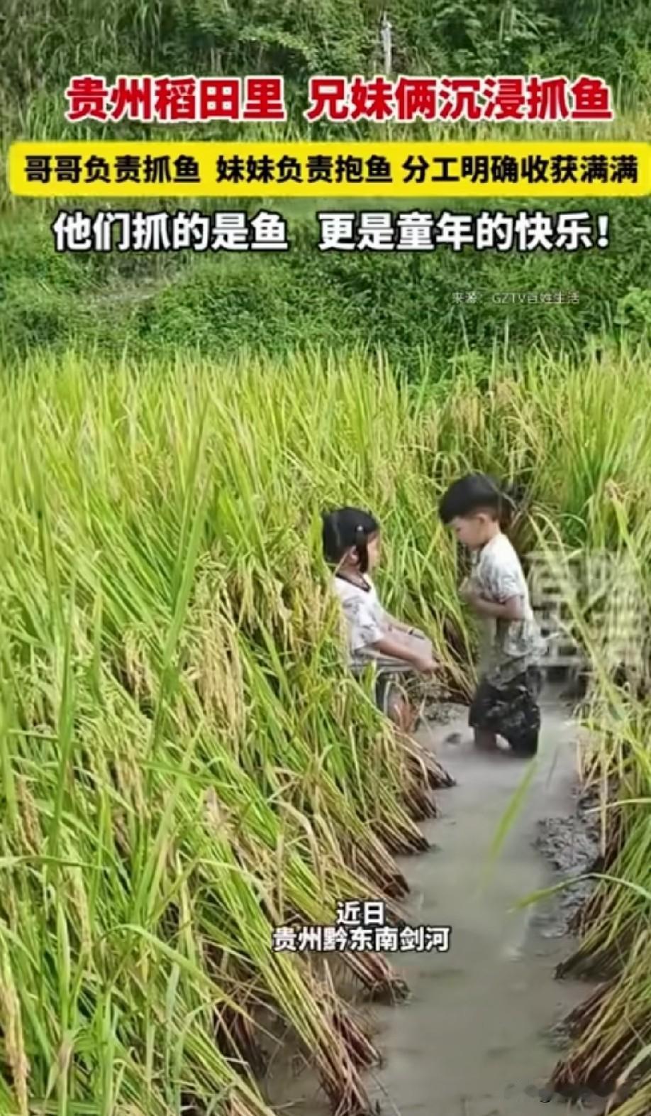 小时候的常态现在很多人在羡慕[捂脸哭]