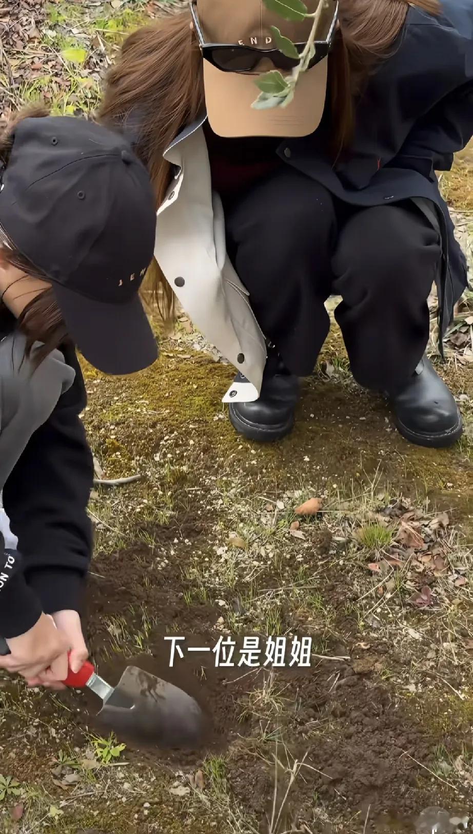 昆凌更新视频，自曝与周杰伦带孩子去农场挖黑松露，周杰伦胡子白了好老，大女儿出落得