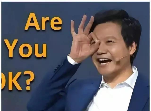 有小米Su7车主网上反馈，刚买两月的车高位刹车灯脱落了，检查发现是胶水粘的。说