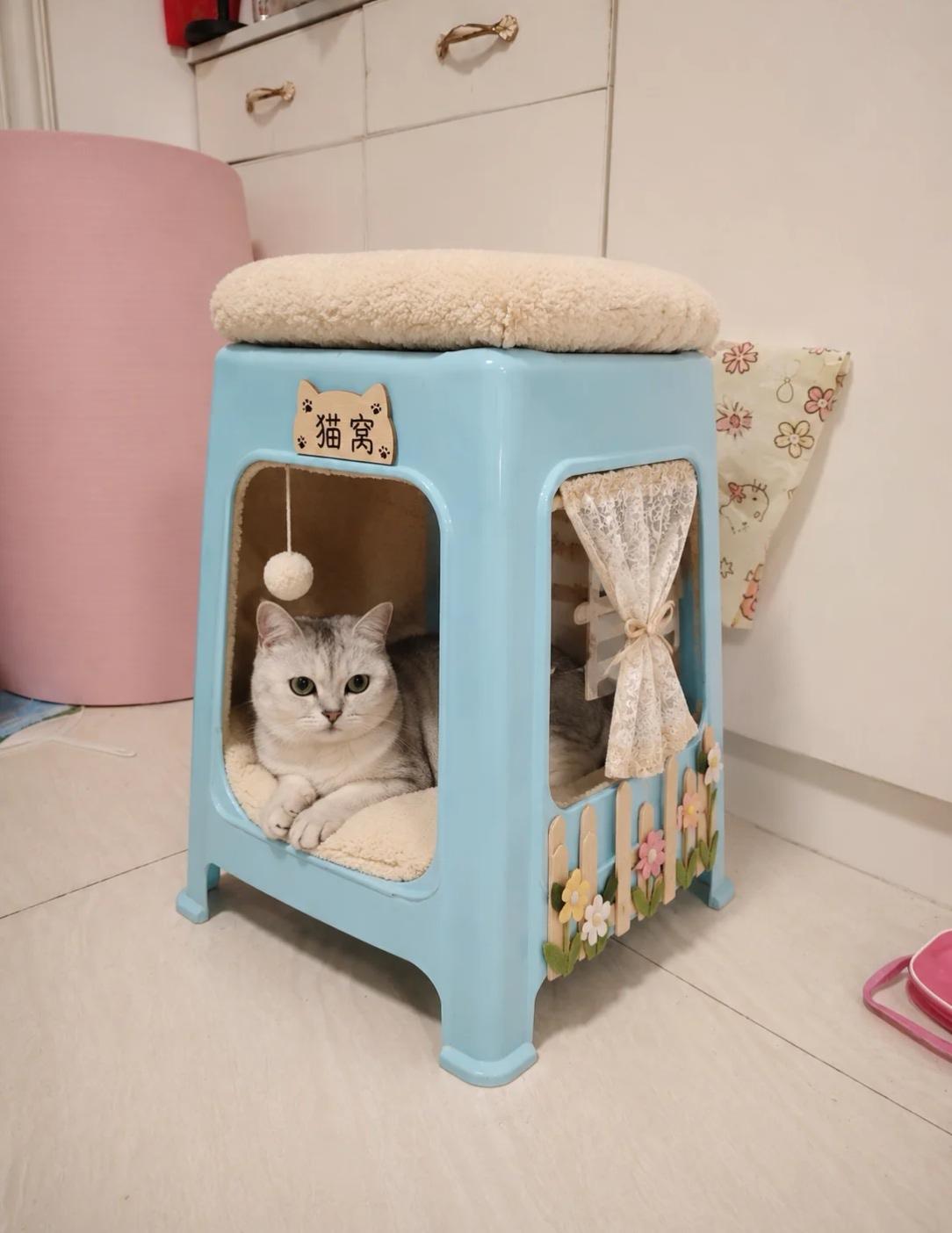 我用塑料凳子给猫做的家！不要另外花钱了。
