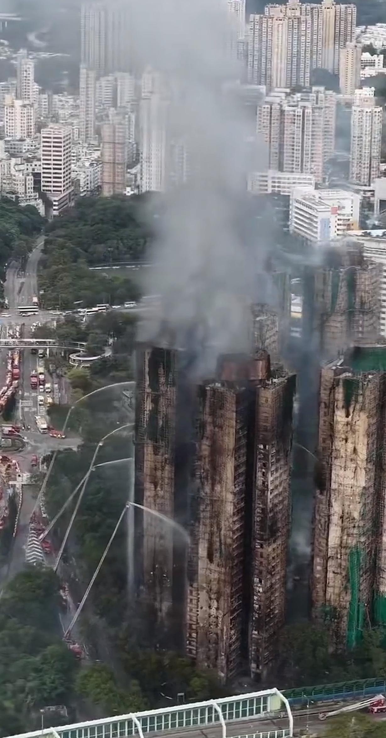 末日景象。给不幸者献上一束花[玫瑰][玫瑰][玫瑰]哀悼[祈祷][祈祷][祈