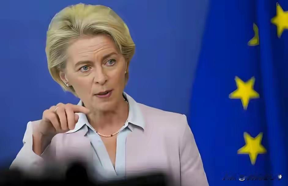 大家看看，当年最反核电的冯德莱恩，现在也改口了能让嘴硬如斯的她改口，这说明欧洲