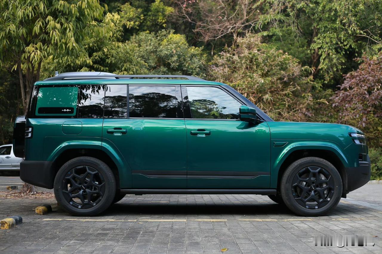 唐dm本身没什么生存空间了。后面宋ultra上市估计不久dm版本也要申报了。大