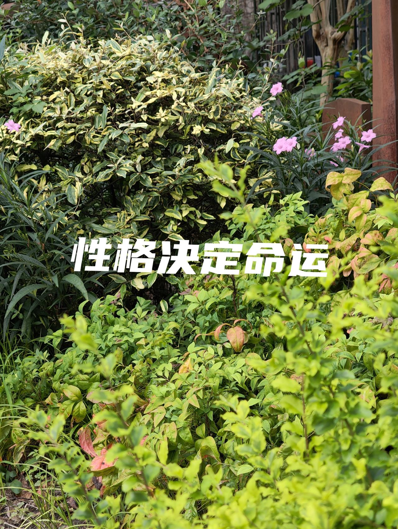 会。如果一个人习惯了斤斤计较，处处挑剔。他自己的心情会是烦乱的。因为你得不到满足