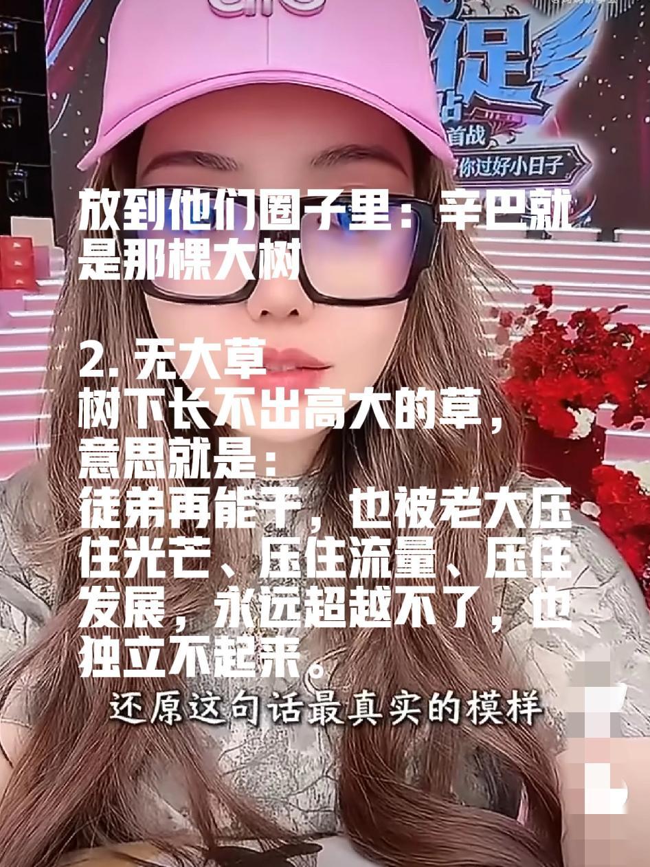 蛋蛋说的“大树底下无大草”，到底是什么意思？辛巴气场太大、流量太大、话语权全