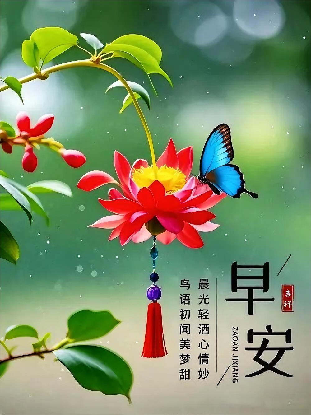 晨光鸟语梦甜，吉祥安宁心境妙。