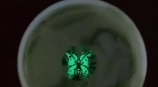 1979年，山西妇女李伞在耕地时挖到一只青釉酒杯，清洗时杯底突然浮现彩蝶，翅膀随