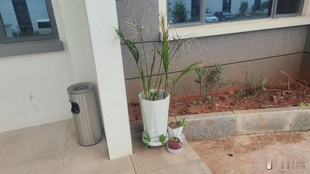风水先生今天公司的老板专门请了一位风水先生来公司，每个地方，每个办公室每个角