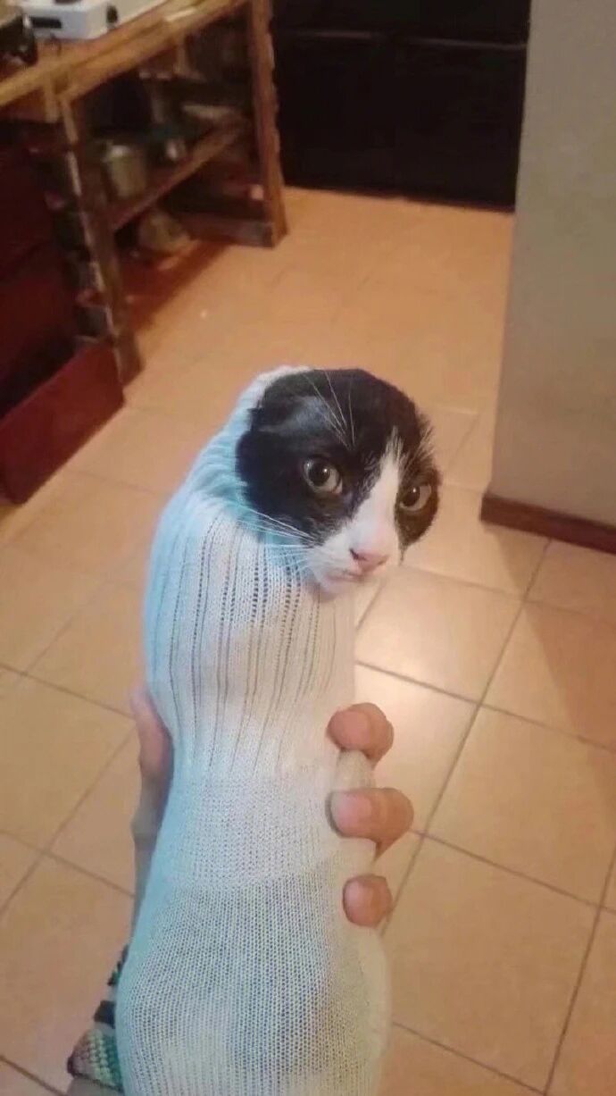 人类做个人吧​​​