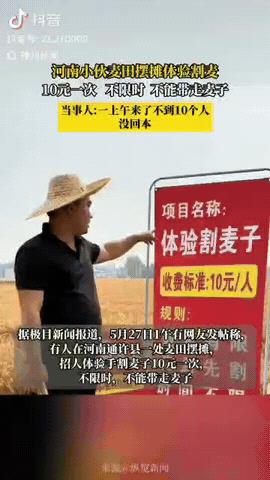 笑出眼泪了！河南小伙想把小麦免费割掉还能赚钱，就搞了个10元/人体验割麦子活动，