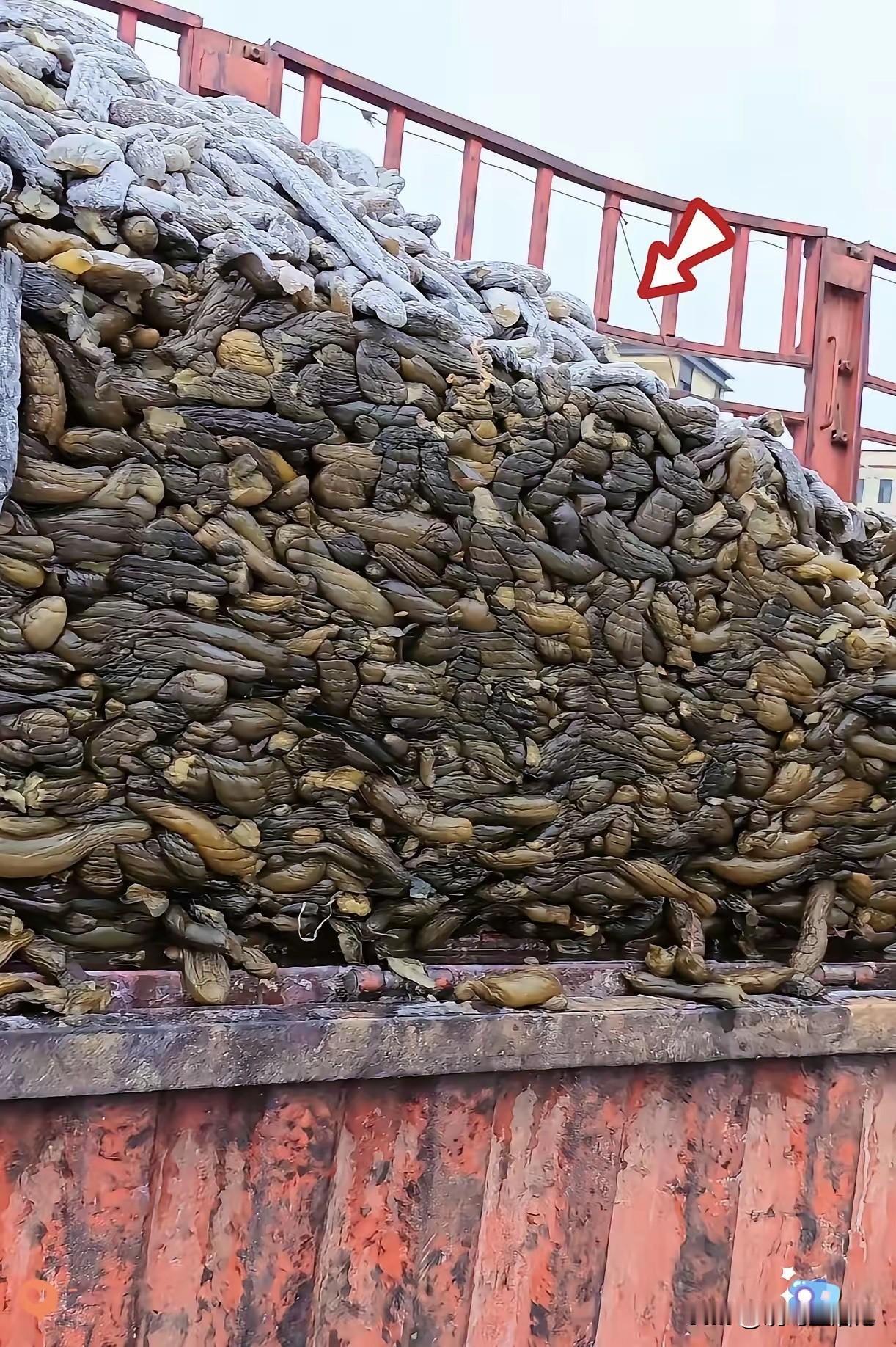 这是食品啊，好歹也垫个垫子啊。